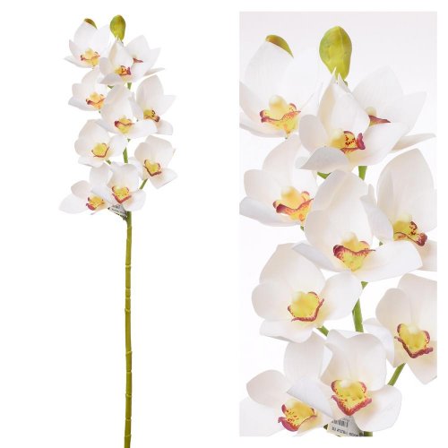 Kusovka orchidea cymbidium biela 74cm