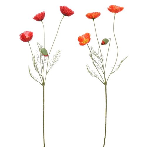 Ks papaver 4-st mix/f 60cm
