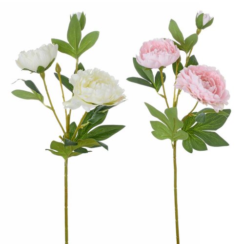 Ks pivonka viack. mix/f 49cm