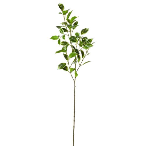 Konár zeleň  listy panašované bielo/zelené 75cm