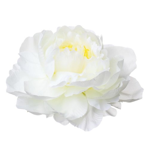 Hlava pivoňka krém priem:10cm bal:12ks