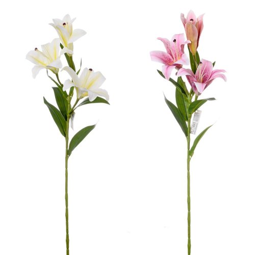 Ľalia stargarzer ružovo-biela 3 kvety 73cm
