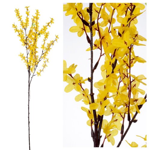 Ks zlatý dážď 78cm