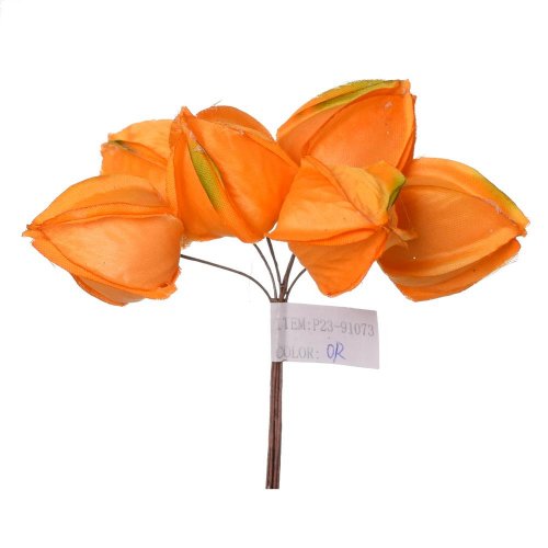 Zápich physalis žlt/or 6ks 13cm