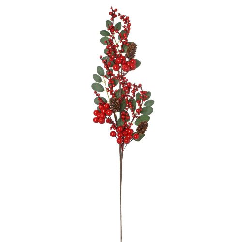 Konárik listy, šišky, čer. bobule 60cm