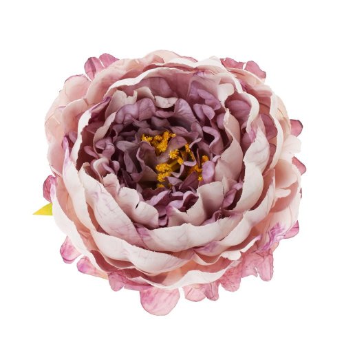 Ks pivonka hlava fialová 8*14cm