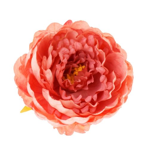 Ks pivonka hlava lososová 8*14cm