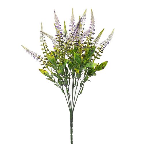 Zeleň veronika zeleno-fialová 40cm