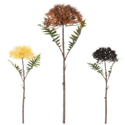 Ks ammi, kvet mrkvy mix/3f 43cm