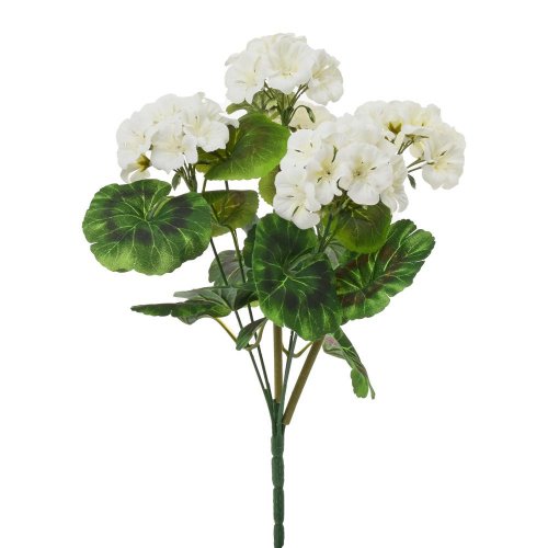 Kytica zonalka x6 krém 38cm