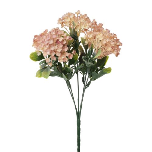 Zeleň viburnum ružové 30cm