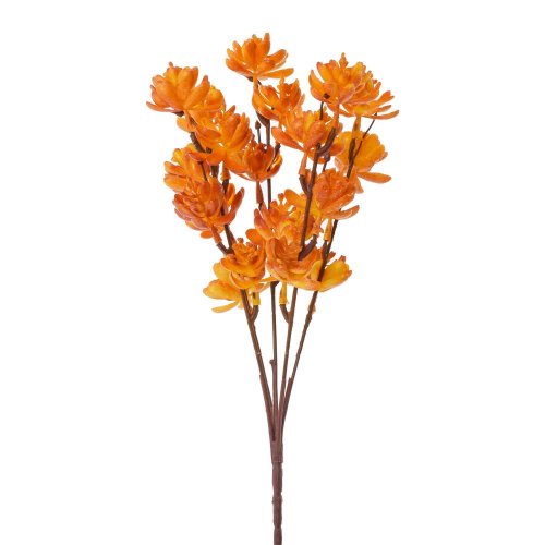 Zeleň sukulent oranžová 30cm