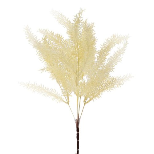 Zeleň asparát krémový 37cm