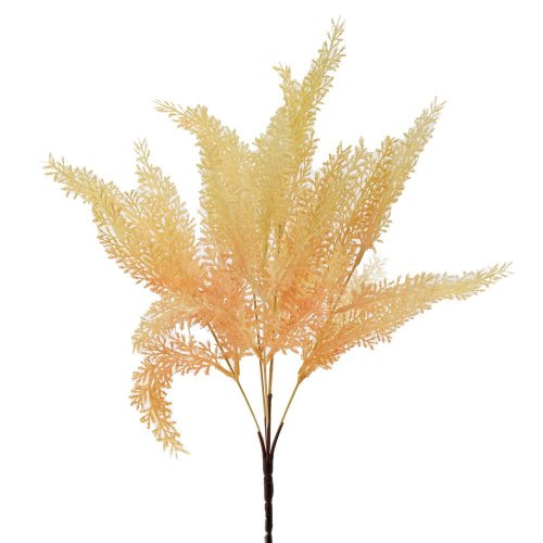 Zeleň asparát oranžový 37cm