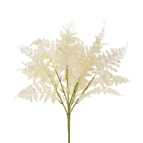 Zeleň papraď krémová 42cm