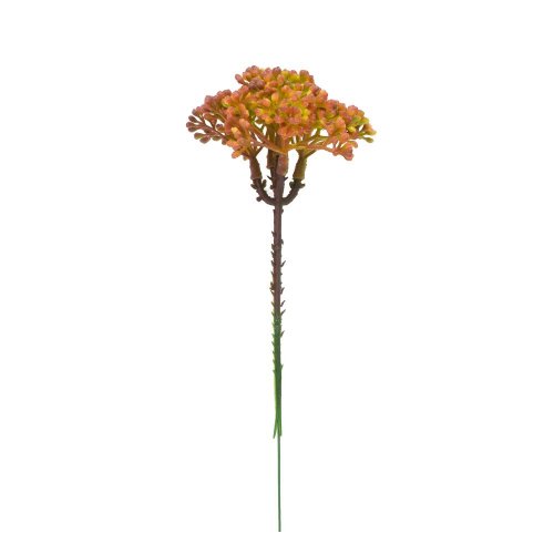 Zápich zeleň trachelium zeleno-červené 18cm