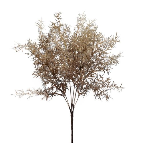 Zeleň asparát hnedý 56cm