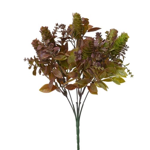 Zeleň sukulent zel-bordo., drob. lístky 33cm