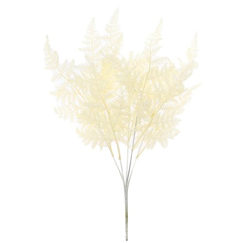 Zeleň papraď krémová 48cm