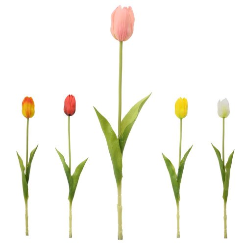 Ks tulipán mix/5f 42cm