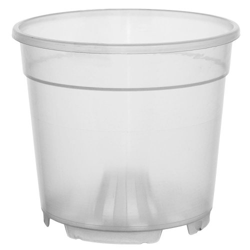 Kontajner orchidea 12cm x 10cm, 0,8 l číry