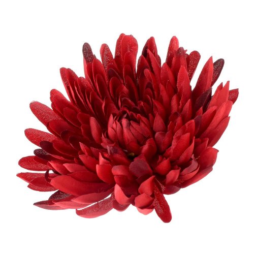 Hlava chryzantéma tm.bordová 15cm bal:12ks