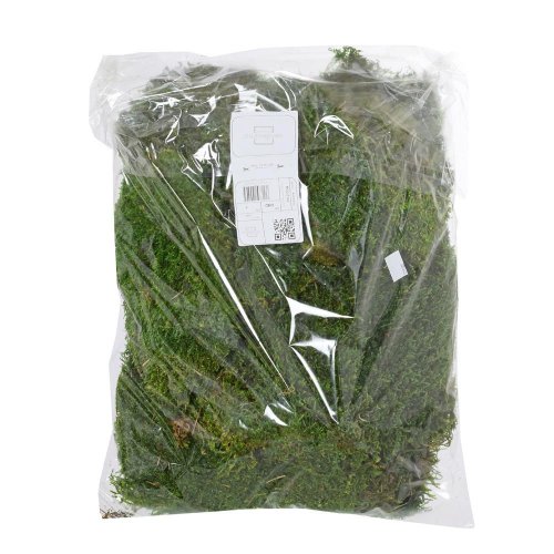 Mach ice moss flat 500g /box