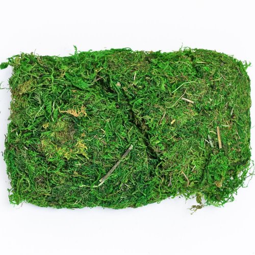Natur mach 50gr