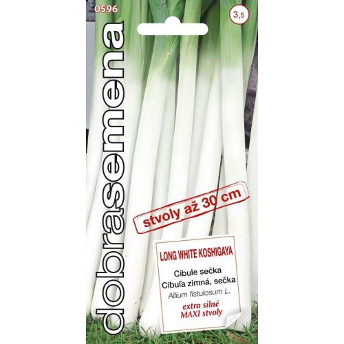 Cibuľa long white koshigayazimná, sečka 1g