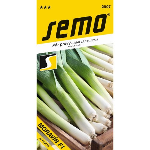 Pór pestovaný moravín f1 2g