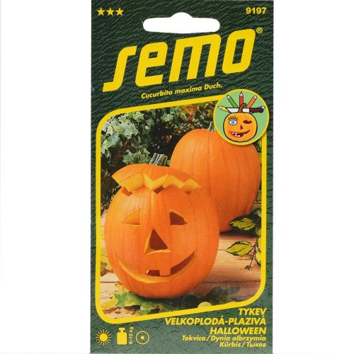 Tekvica okrasná halloween 2g