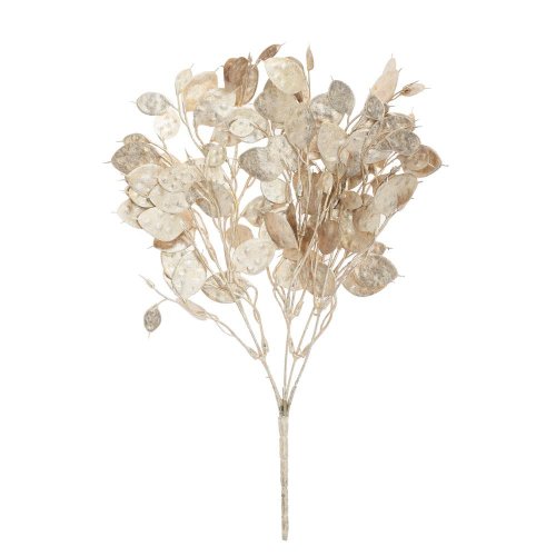Zeleň lunaria šampaň 37cm - Vianočné dekorácie a ozdoby