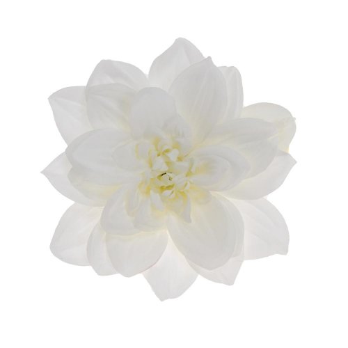 Hlava dahlia 14cm bal.12ks biela