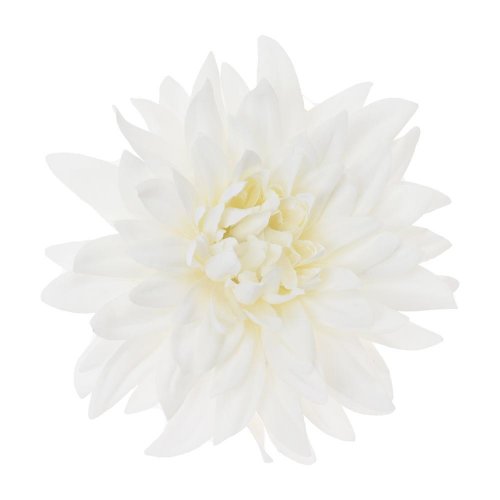 Hlava dahlia 4cm bal.12ks biela