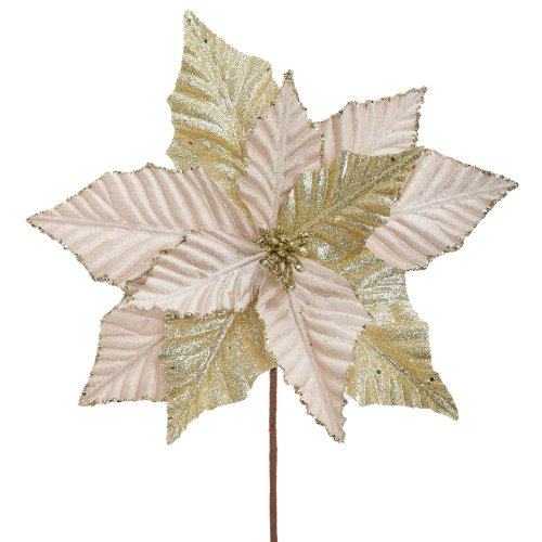 Ks vianočná ruža šampaň 30cm