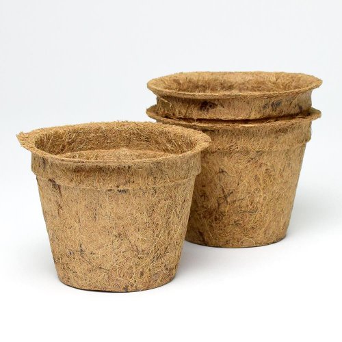 Sada kokos.sadbov 600ml/ 3ks 12x9cm