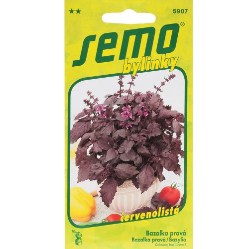 Bazalka purple opaal 1g