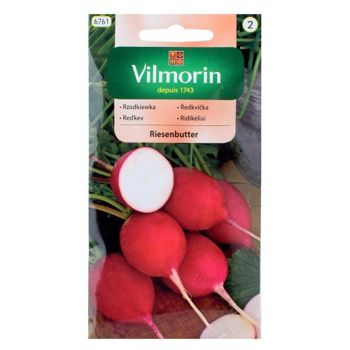 Reďkev riesenbutter 10g