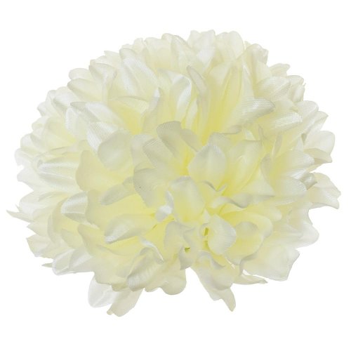 Hlava chryzantéma krém  12cm bal:12ks