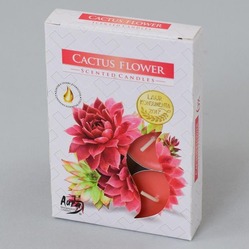 Čajové voňavé/6 kvet kaktusu