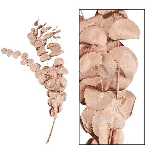 Eucalyptus 45gr nature 50x20x3cm/meď