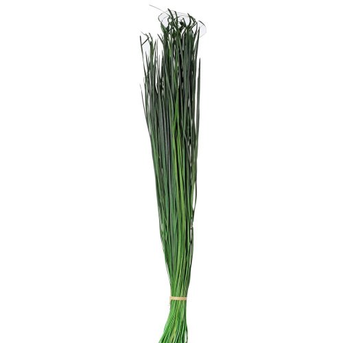 Bergras preparovaný zelený/zv