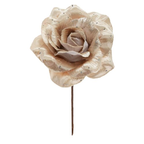 Zápich ruža šampáň 21cm