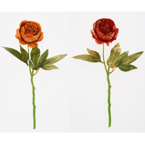 Ks pivonka, zeleň mix/2f 40cm