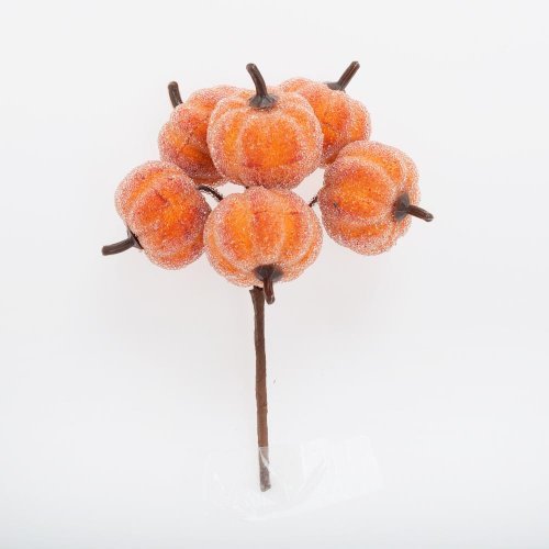 Zápich tekvice ľadové s/6 14cm