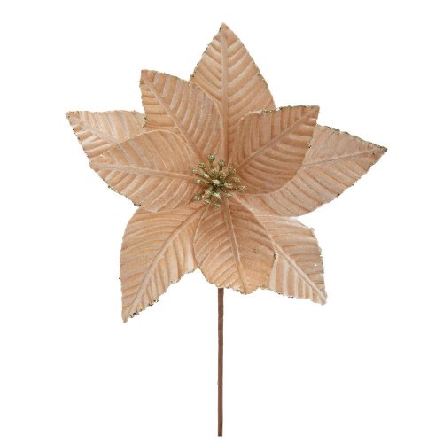 Zápich vianočná ruža šampaň zamat 37cm