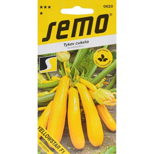 Tekvica yellowstar f1 1,5g