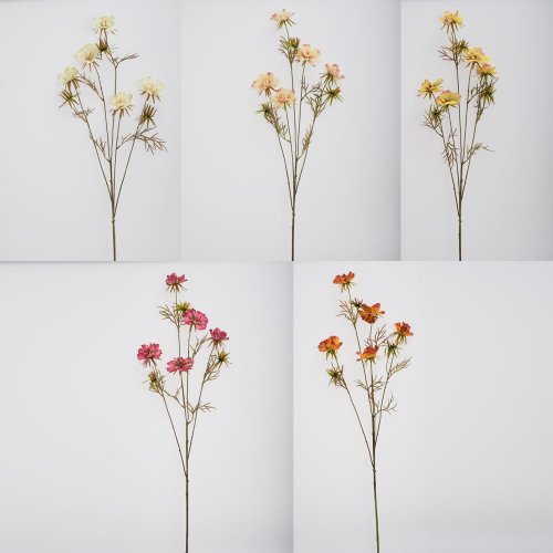 Ks anemonka mix/5f 97cm