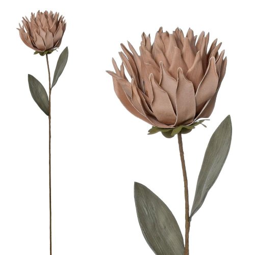Ks protea ruž/béž penová 71cm