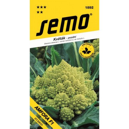 Karfiol amfora f1/veronica f1 10s